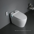 Sinking Water Tank Automatic Smart Toilet With Bidet